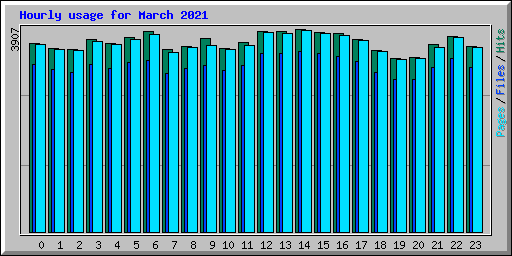 Hourly usage for March 2021