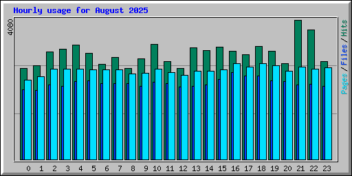 Hourly usage for August 2025