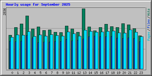 Hourly usage for September 2025
