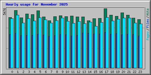 Hourly usage for November 2025