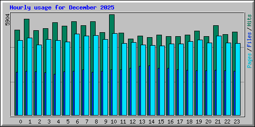 Hourly usage for December 2025