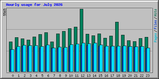 Hourly usage for July 2026